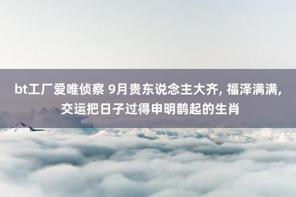 bt工厂爱唯侦察 9月贵东说念主大齐， 福泽满满， 交运把日子过得申明鹊起的生肖