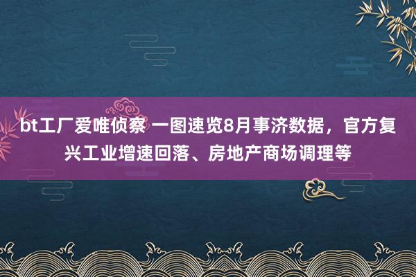 bt工厂爱唯侦察 一图速览8月事济数据，官方复兴工业增速回落、房地产商场调理等