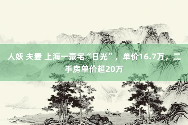 人妖 夫妻 上海一豪宅“日光”，单价16.7万，二手房单价超20万