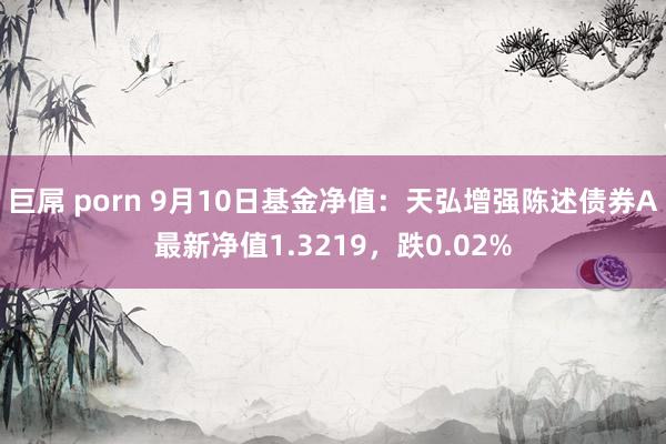 巨屌 porn 9月10日基金净值：天弘增强陈述债券A最新净值1.3219，跌0.02%