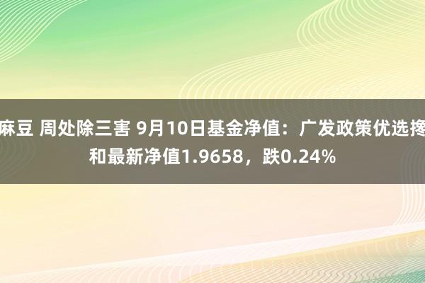 麻豆 周处除三害 9月10日基金净值：广发政策优选搀和最新净值1.9658，跌0.24%