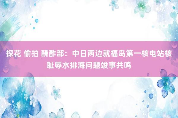 探花 偷拍 酬酢部：中日两边就福岛第一核电站核耻辱水排海问题竣事共鸣