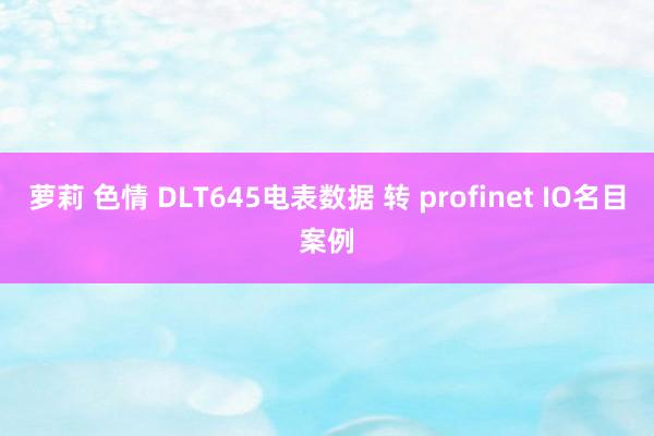 萝莉 色情 DLT645电表数据 转 profinet IO名目案例