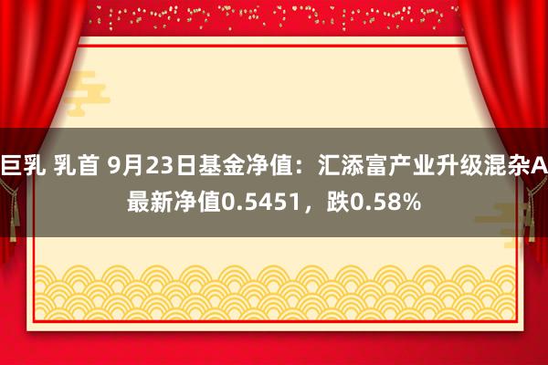 巨乳 乳首 9月23日基金净值：汇添富产业升级混杂A最新净值0.5451，跌0.58%