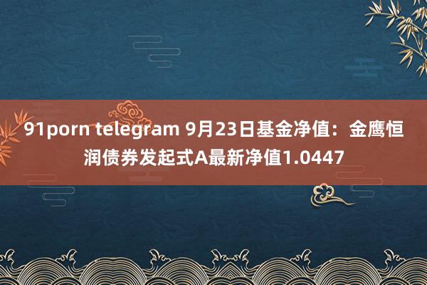 91porn telegram 9月23日基金净值：金鹰恒润债券发起式A最新净值1.0447