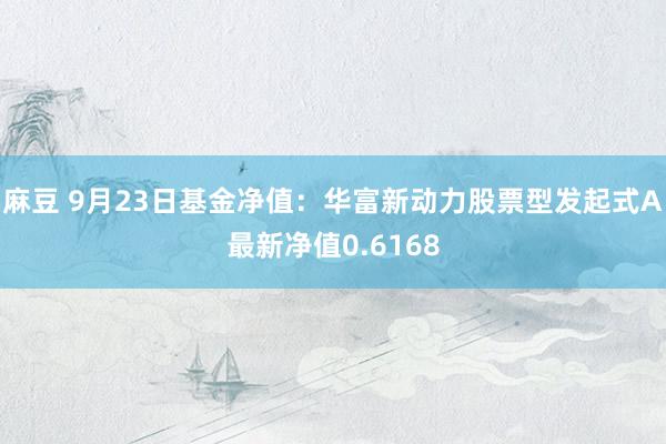 麻豆 9月23日基金净值：华富新动力股票型发起式A最新净值0.6168