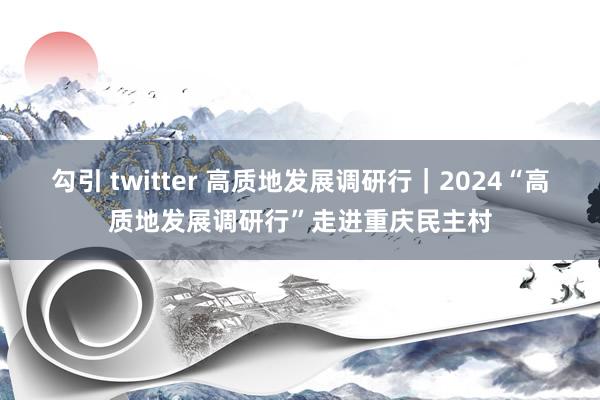 勾引 twitter 高质地发展调研行｜2024“高质地发展调研行”走进重庆民主村