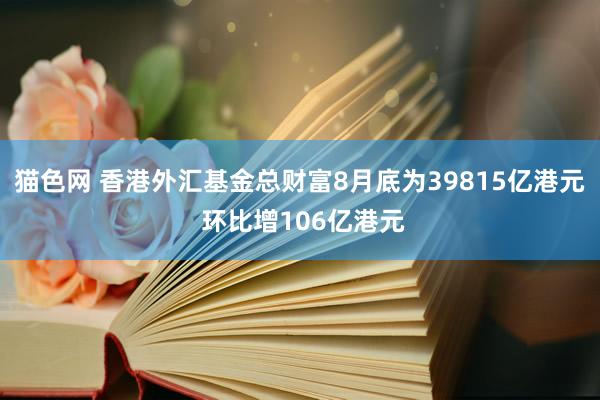 猫色网 香港外汇基金总财富8月底为39815亿港元 环比增106亿港元