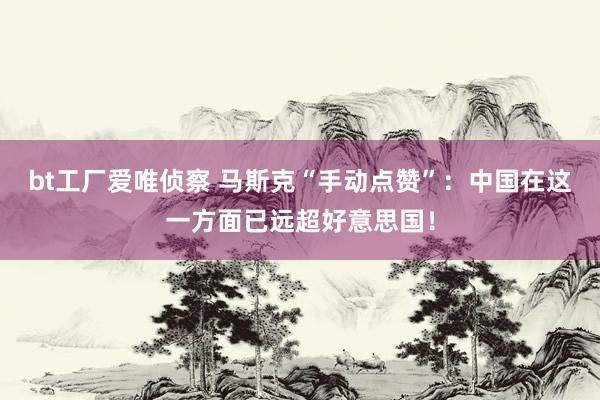 bt工厂爱唯侦察 马斯克“手动点赞”：中国在这一方面已远超好意思国！