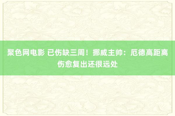 聚色网电影 已伤缺三周！挪威主帅：厄德高距离伤愈复出还很远处