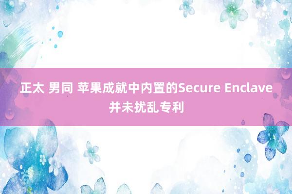 正太 男同 苹果成就中内置的Secure Enclave并未扰乱专利