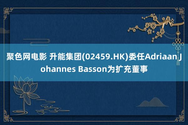 聚色网电影 升能集团(02459.HK)委任Adriaan Johannes Basson为扩充董事