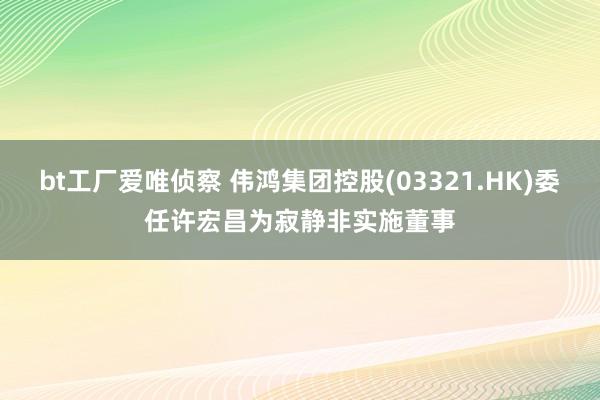 bt工厂爱唯侦察 伟鸿集团控股(03321.HK)委任许宏昌为寂静非实施董事