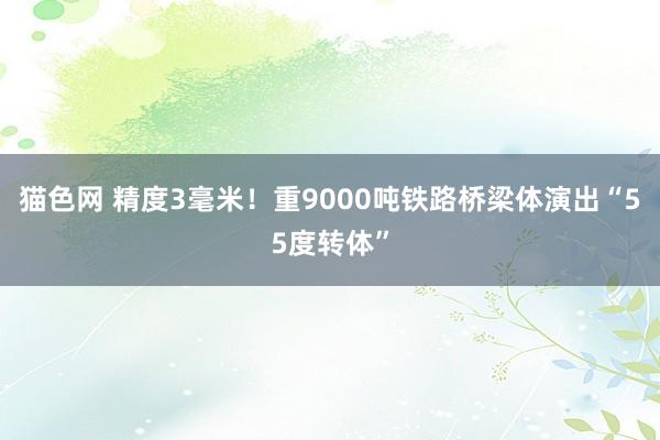 猫色网 精度3毫米！重9000吨铁路桥梁体演出“55度转体”