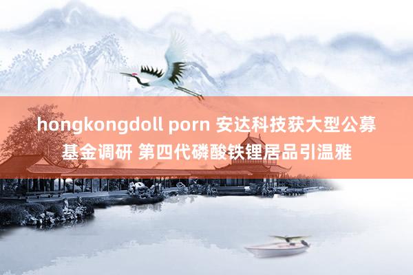 hongkongdoll porn 安达科技获大型公募基金调研 第四代磷酸铁锂居品引温雅