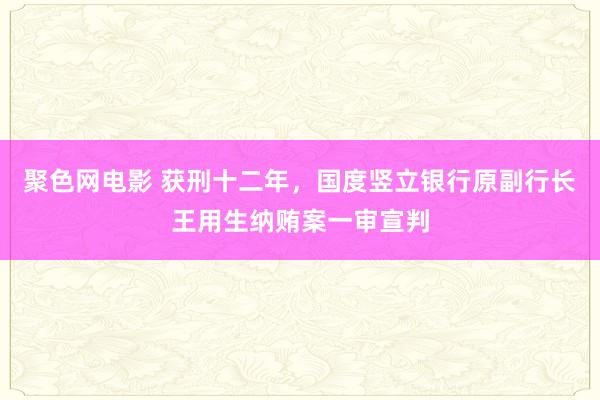 聚色网电影 获刑十二年，国度竖立银行原副行长王用生纳贿案一审宣判