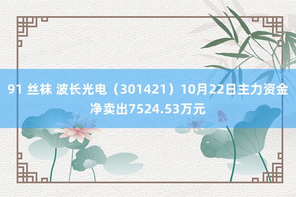 91 丝袜 波长光电（301421）10月22日主力资金净卖出7524.53万元