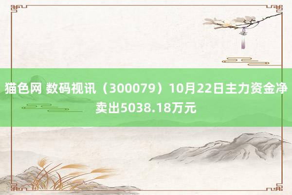 猫色网 数码视讯（300079）10月22日主力资金净卖出5038.18万元