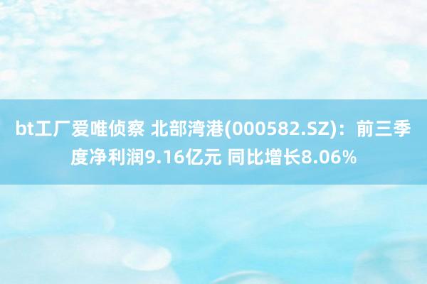 bt工厂爱唯侦察 北部湾港(000582.SZ)：前三季度净利润9.16亿元 同比增长8.06%