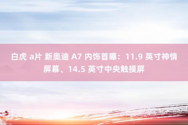 白虎 a片 新奥迪 A7 内饰首曝：11.9 英寸神情屏幕、14.5 英寸中央触摸屏