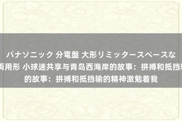 パナソニック 分電盤 大形リミッタースペースなし 露出・半埋込両用形 小球迷共享与青岛西海岸的故事：拼搏和抵挡输的精神激勉着我