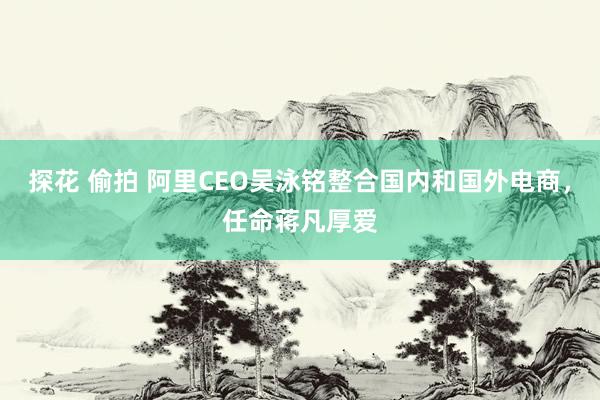 探花 偷拍 阿里CEO吴泳铭整合国内和国外电商，任命蒋凡厚爱