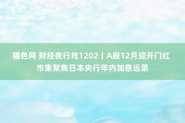 猫色网 财经夜行线1202丨A股12月迎开门红 市集聚焦日本央行年内加息远景