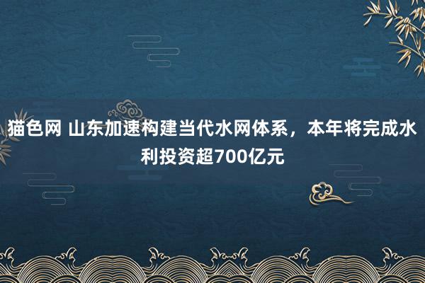 猫色网 山东加速构建当代水网体系，本年将完成水利投资超700亿元