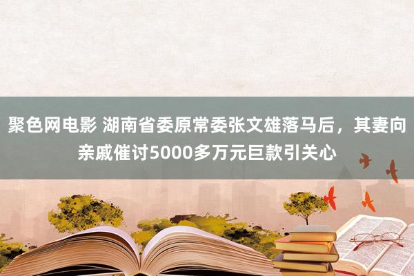 聚色网电影 湖南省委原常委张文雄落马后，其妻向亲戚催讨5000多万元巨款引关心