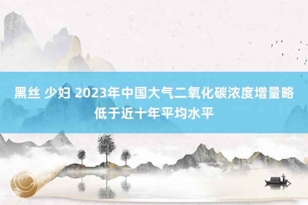 黑丝 少妇 2023年中国大气二氧化碳浓度增量略低于近十年平均水平