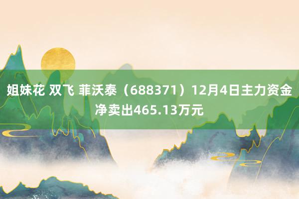 姐妹花 双飞 菲沃泰（688371）12月4日主力资金净卖出465.13万元