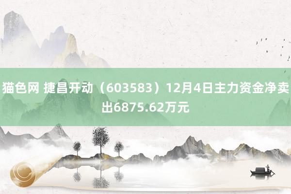 猫色网 捷昌开动（603583）12月4日主力资金净卖出6875.62万元