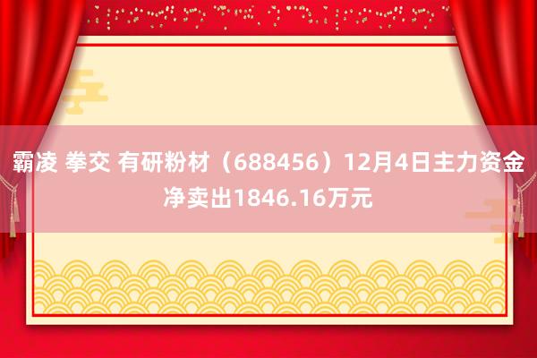 霸凌 拳交 有研粉材（688456）12月4日主力资金净卖出1846.16万元