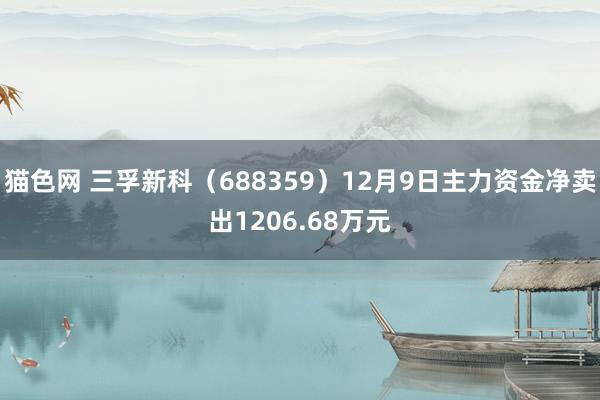 猫色网 三孚新科（688359）12月9日主力资金净卖出1206.68万元