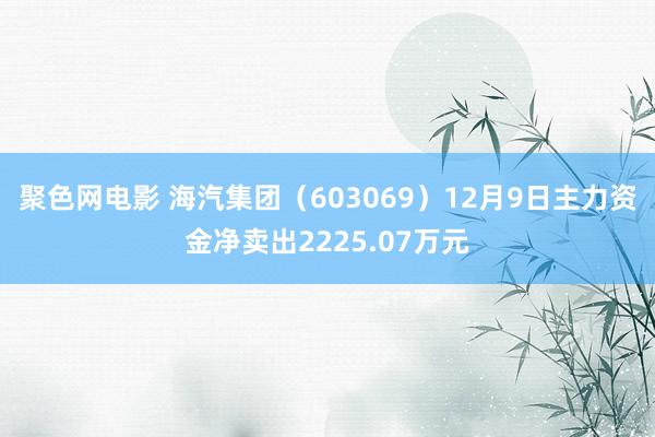 聚色网电影 海汽集团（603069）12月9日主力资金净卖出2225.07万元