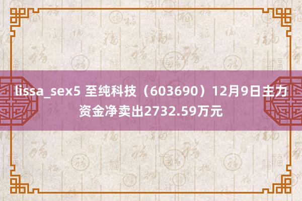 lissa_sex5 至纯科技（603690）12月9日主力资金净卖出2732.59万元