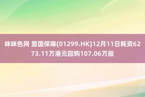 咪咪色网 盟国保障(01299.HK)12月11日耗资6273.11万港元回购107.06万股