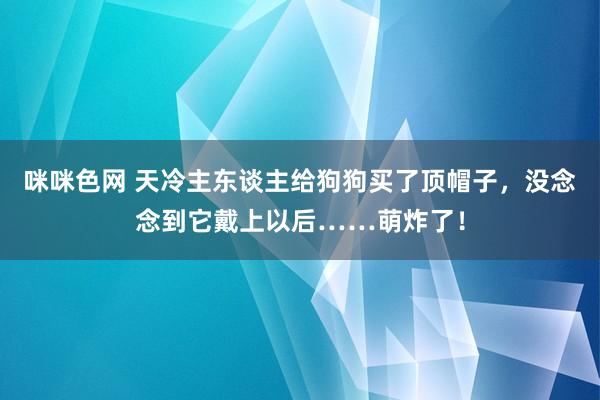 咪咪色网 天冷主东谈主给狗狗买了顶帽子，没念念到它戴上以后……萌炸了！