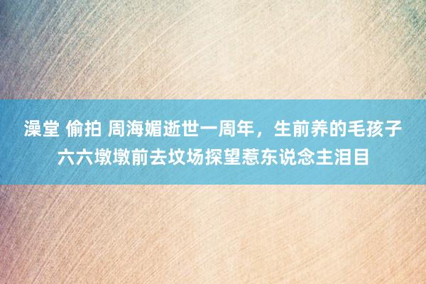 澡堂 偷拍 周海媚逝世一周年，生前养的毛孩子六六墩墩前去坟场探望惹东说念主泪目