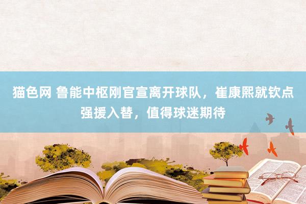 猫色网 鲁能中枢刚官宣离开球队，崔康熙就钦点强援入替，值得球迷期待