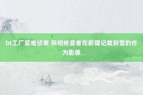 bt工厂爱唯侦察 照相疼爱者在新疆记载到雪豹作为影像