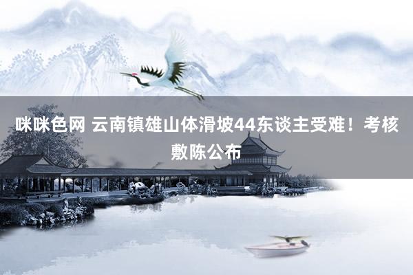 咪咪色网 云南镇雄山体滑坡44东谈主受难！考核敷陈公布