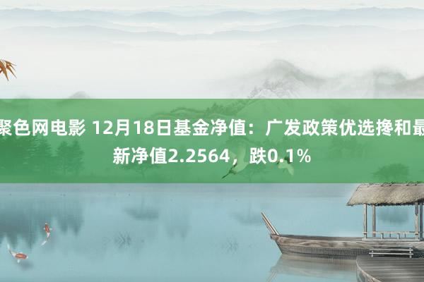 聚色网电影 12月18日基金净值：广发政策优选搀和最新净值2.2564，跌0.1%