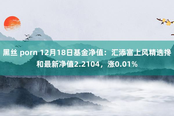 黑丝 porn 12月18日基金净值：汇添富上风精选搀和最新净值2.2104，涨0.01%