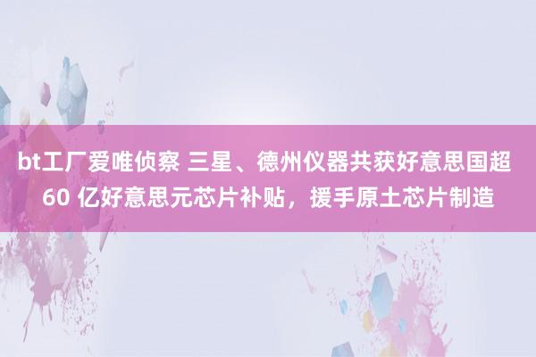 bt工厂爱唯侦察 三星、德州仪器共获好意思国超 60 亿好意思元芯片补贴，援手原土芯片制造