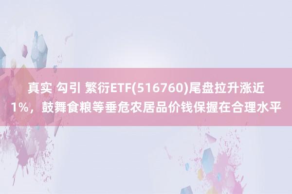 真实 勾引 繁衍ETF(516760)尾盘拉升涨近1%，鼓舞食粮等垂危农居品价钱保握在合理水平