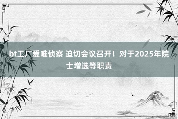 bt工厂爱唯侦察 迫切会议召开！对于2025年院士增选等职责