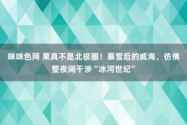 咪咪色网 果真不是北极圈！暴雪后的威海，仿佛整夜间干涉“冰河世纪”