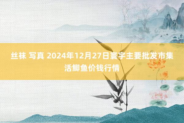 丝袜 写真 2024年12月27日寰宇主要批发市集活鲫鱼价钱行情