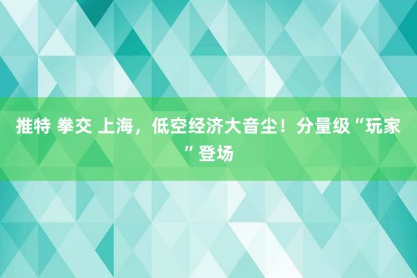 推特 拳交 上海，低空经济大音尘！分量级“玩家”登场